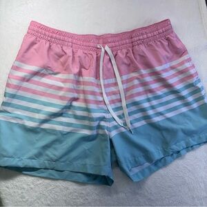Chubbies Elastic Drawstring Pink & Aqua Striped Men’s Swim Shorts Big & Tall XXL